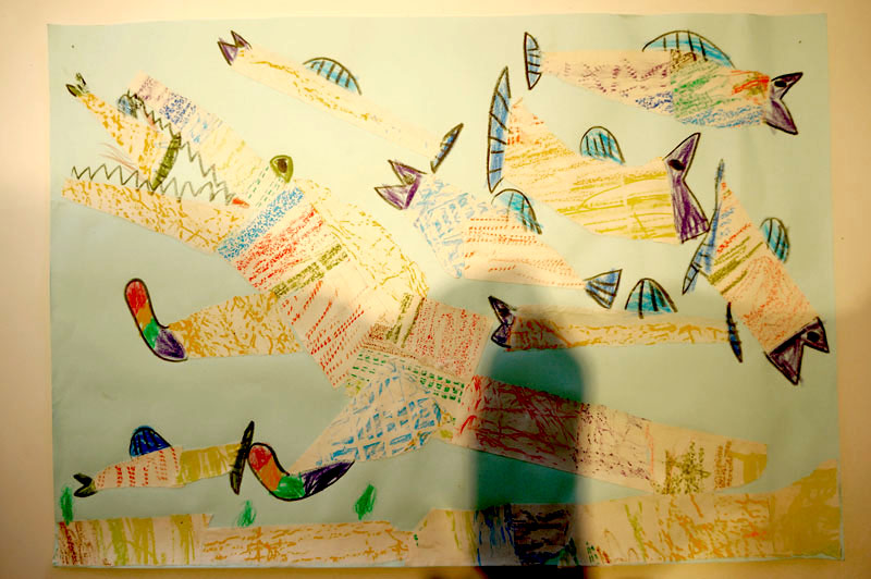 真上から撮ると影が・・・