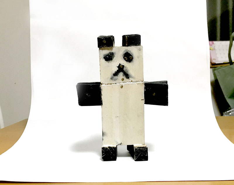 白い紙を背景に使うと良い写真が撮れる